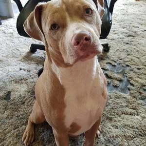 Meet your Posher, Cheryl